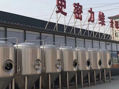 东兴精酿啤酒设备厂—如何判断精酿啤酒设备的密封件需要更换？